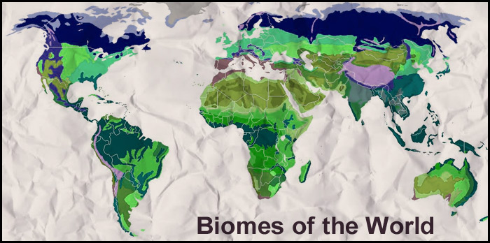 Biome Examples From Around the World