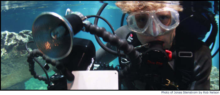 Underwater Filmmaking Basics - Untamed Science