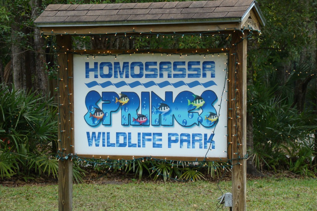 Visiting Homosassa Spring state park Untamed Science