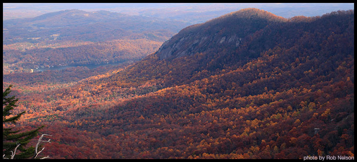 deciduous forest climate and weather