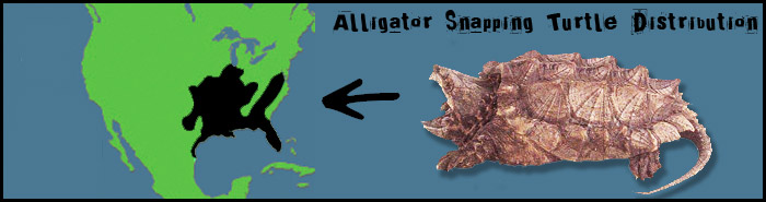 Where Do Alligator Snapping Turtles Live?