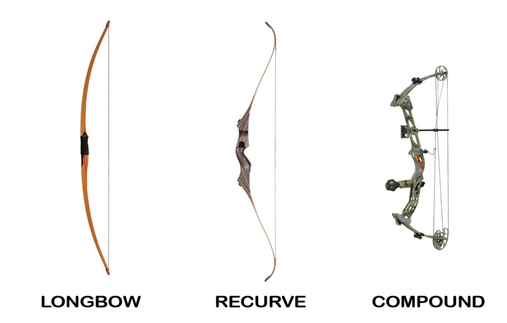 Physics Of Archery: The Science Explained