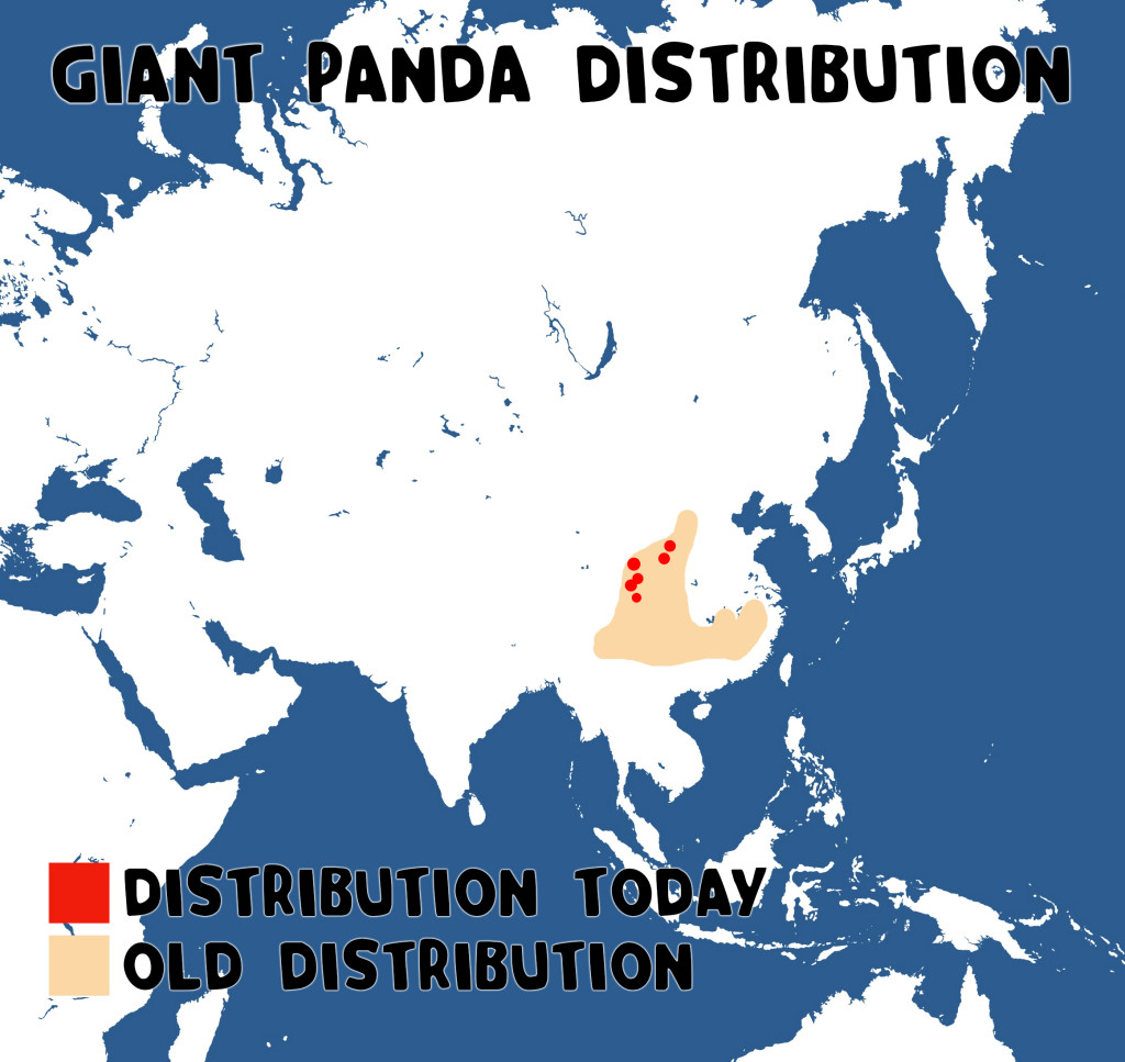 Panda distribution map01_WEB Untamed Science