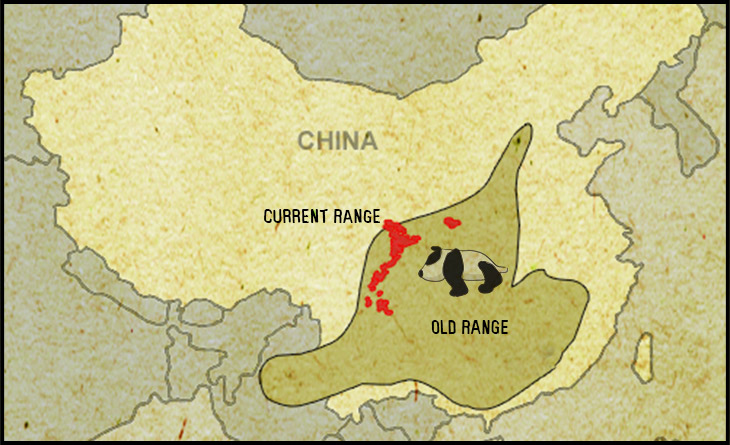 giant panda habitat map