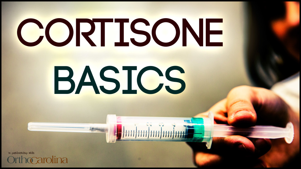 Cortisone Basics Untamed Science