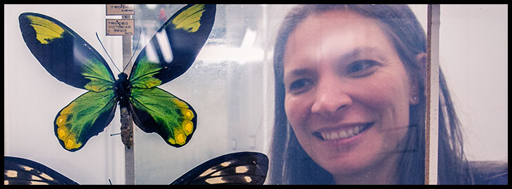 Michelle Trautwein - entomologist