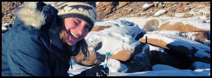 katey-duffey-sampling-snow-leopards