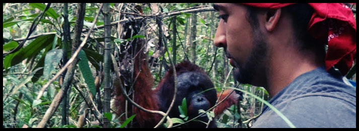 orangutan-and-rscher