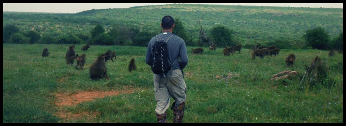 researcher-with-baboons