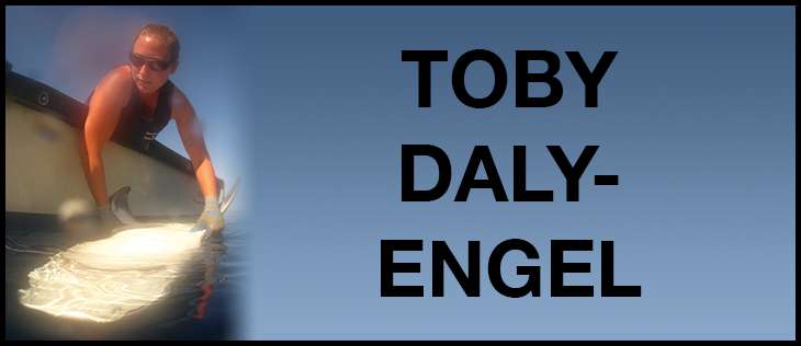 Toby daly engel 6