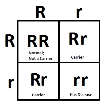 sickle cell anemia punnett square