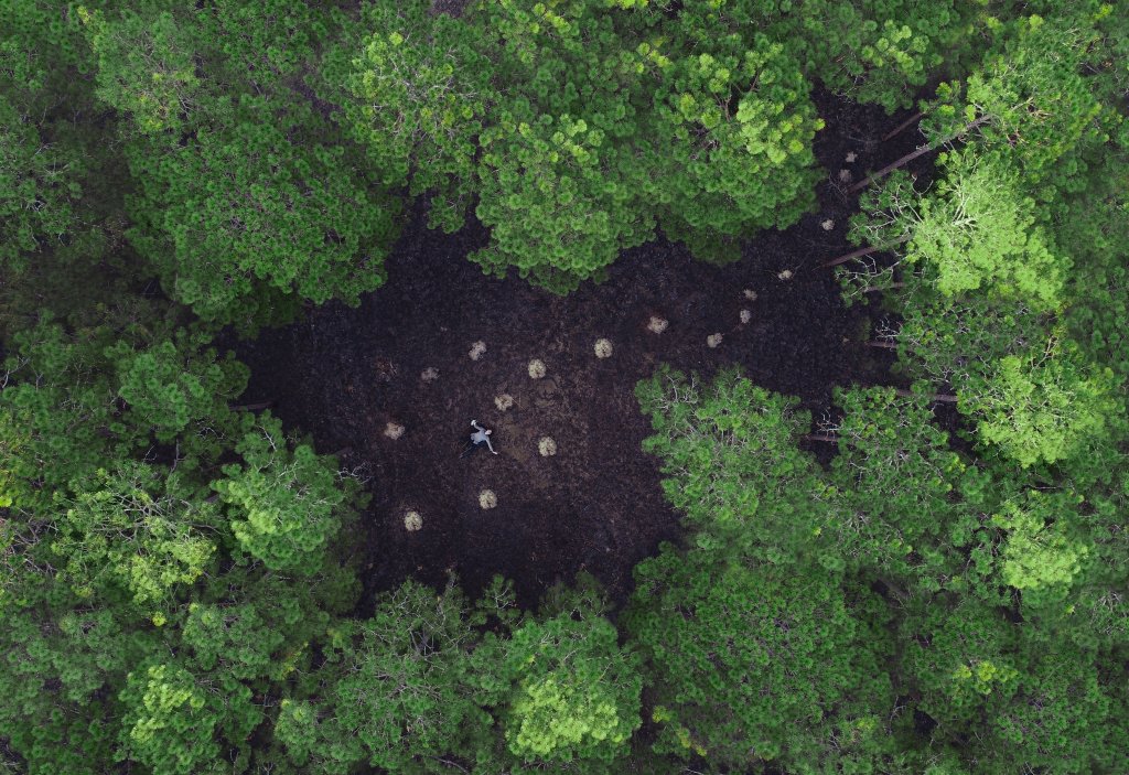 Subscription Download Page Untamed Science