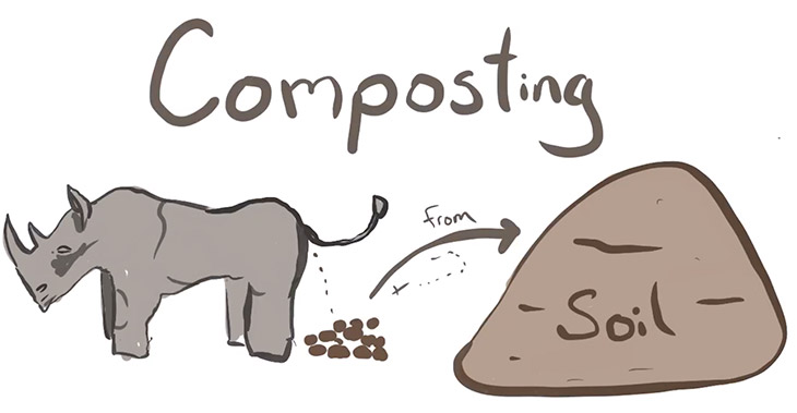 write a short essay on composting