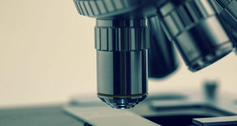 7 Best Online Science Courses For Students - Untamed Science
