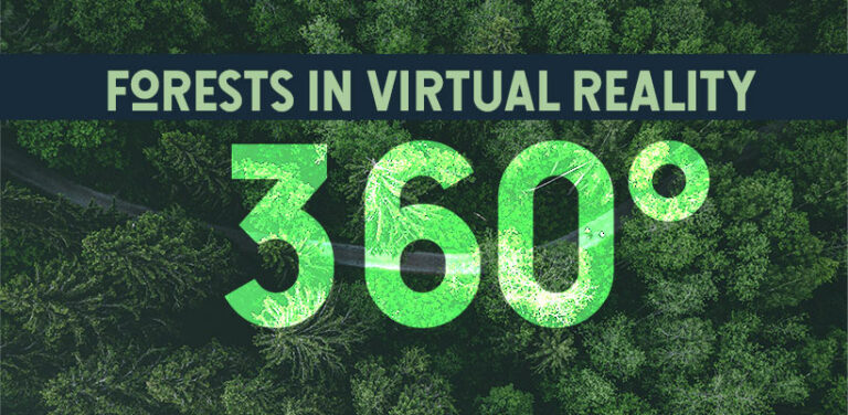 virtual reality 360 degree forests - Untamed Science