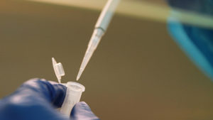 A close up of pipetting into an epindorph tube